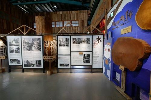 匠心与童趣的交织 台湾爱木村，一座会呼吸的木头乐园