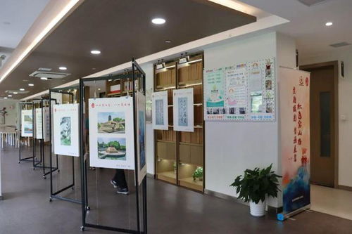 心怀青云志，八一薪火传——宝山路街道开展庆“八一”主题教育活动